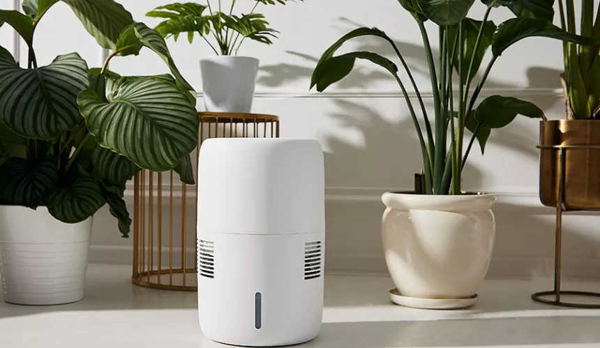 blog-Nawilzacz-powietrza-do-roslin