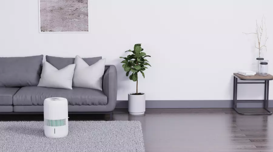 Klarta Humea Grande w salonie