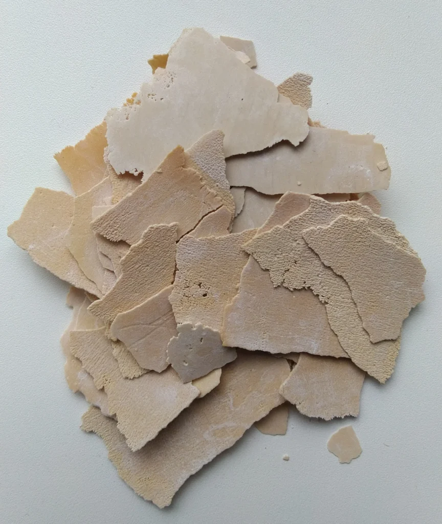 Płaty kamienia znalezione w czajniku. Źródło: Alexander Davronov, CC BY-SA 4.0. Wikimedia Commons