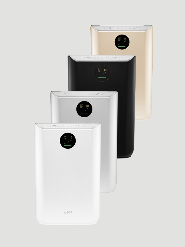 Klarta Stor 3 Złoty