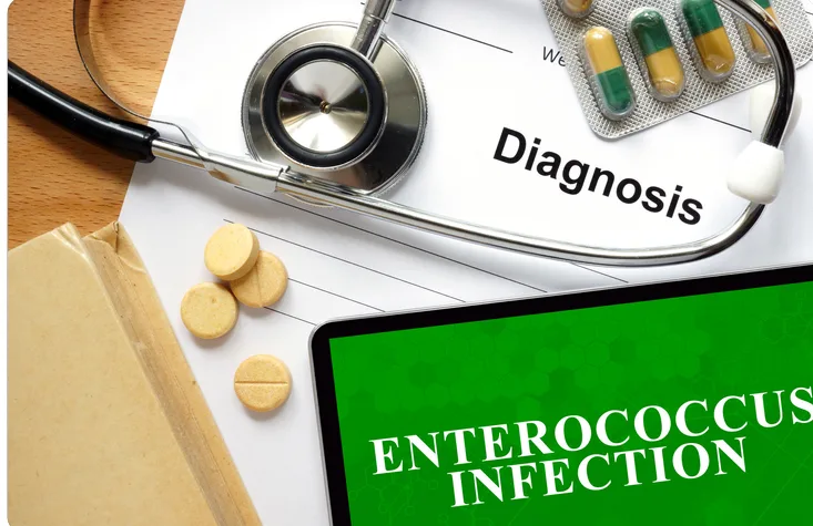 Infekcja wywołana przez enterokoki – diagnoza Enterococcus infection